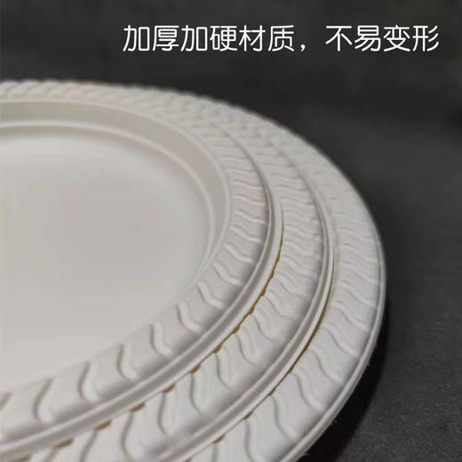 开普特玉米淀粉餐盘10只装26767161 商品图2