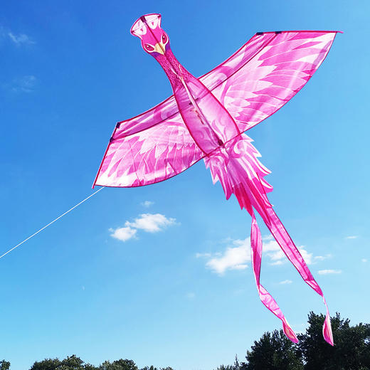 【微风易起飞的青鸟风筝】大宗2023新款风筝成人青鸟大人/潍坊美人鱼 儿童微风易飞的风筝套装 适合4岁+ 商品图6