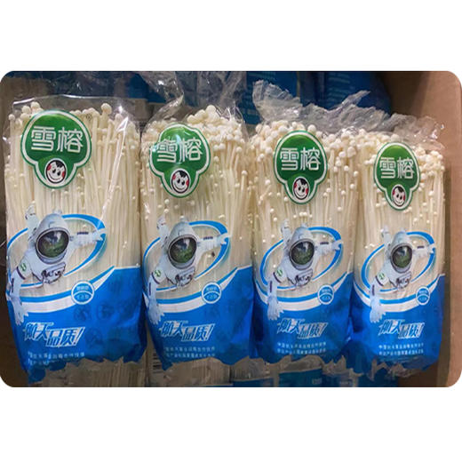 【4元2袋】大袋金针菇（1500662） 商品图0