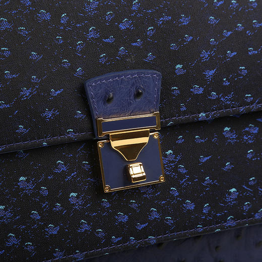 SAINTJOY/上久楷 宋锦女式拎包  鸵鸟纹  BWS19A2501 商品图4