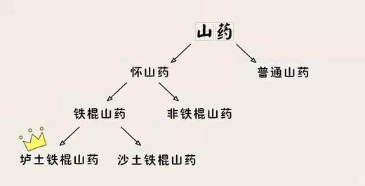 温县垆土铁棍山药 2500g 五斤装 商品图2