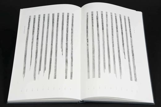 重点推荐！！《天回医简》（上下），特种布面精装带函套，天回医简整理组编著，文物出版社2022年一版二印，定价1980元，限价售价:1485元。 商品图5