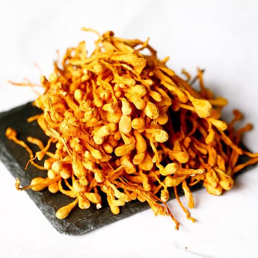 【虫草花干货】 大孢子头蛹虫草200g 商品图2