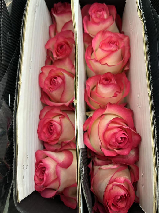 【拍市玫瑰】 爱莎  10枝/扎  约60公分 商品图7