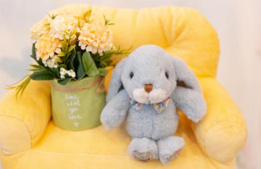 伽百利领结兔毛绒 商品图2