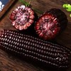HEB东北黑色粘玉米10棒/箱 商品缩略图5