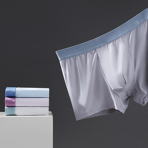 都市丽人简约基础冰丝平角裤男士内裤FK3CB1 商品图2