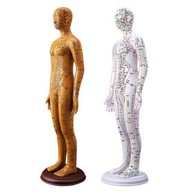 人体经络穴位模型摆件