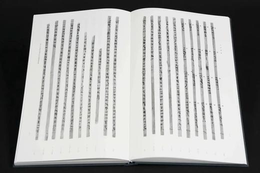 重点推荐！！《天回医简》（上下），特种布面精装带函套，天回医简整理组编著，文物出版社2022年一版二印，定价1980元，限价售价:1485元。 商品图6