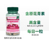 HOLLAND&BARRETT荷柏瑞葡萄籽提取物精华胶囊100mg50粒/瓶 商品缩略图0