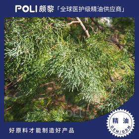颇黎进口澳洲蓝丝柏精油 护肤按摩丝柏精油原料 oem定制单方精油
