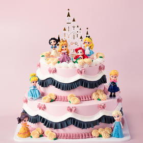 生日蛋糕 公主聚会
