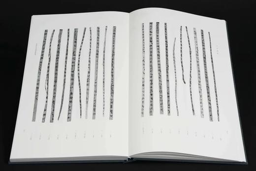 重点推荐！！《天回医简》（上下），特种布面精装带函套，天回医简整理组编著，文物出版社2022年一版二印，定价1980元，限价售价:1485元。 商品图2