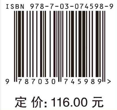 柔性直流输电/饶宏 商品图2