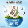 维他奶 椰子味豆奶植物奶蛋白饮料250ml*24 商品缩略图2