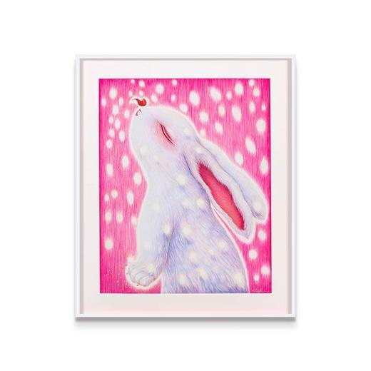 杨燕《梦》50版 商品图0