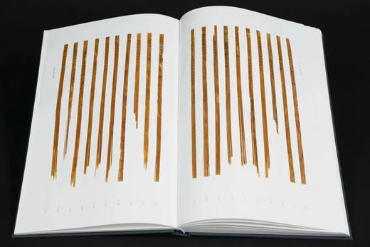 重点推荐！！《天回医简》（上下），特种布面精装带函套，天回医简整理组编著，文物出版社2022年一版二印，定价1980元，限价售价:1485元。 商品图4