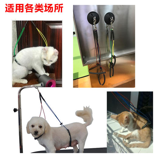 宠物美容吊绳魔力吸盘牵引绳挂绳吊杆配件宠物家用固定器 商品图3