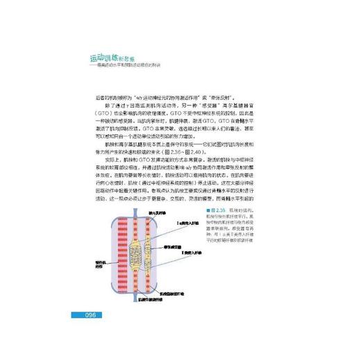 运动训练新思维——提高运动水平和预防运动损伤的秘诀 商品图1