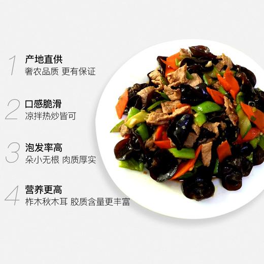 地道东北 柞木|秋木耳 肉厚口感脆滑 胶质丰富 商品图2