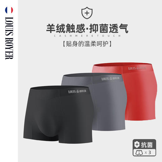 【超值3条装】法国 利蜂/LOUIS ROYER 男士内裤 商品图1