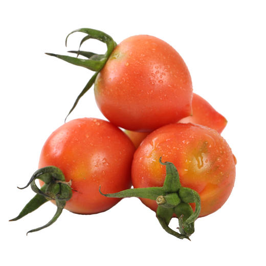 正宗的丹东409 小柿子  1斤55-60个左右 商品图0