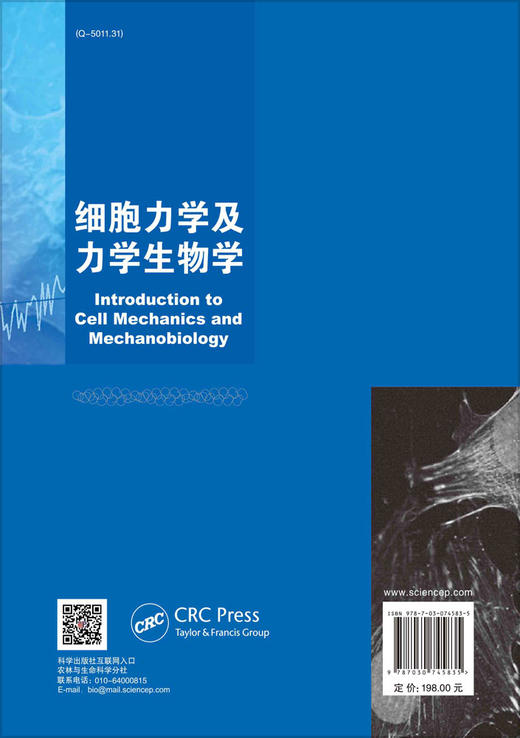 细胞力学及力学生物学/孙联文 杨肖 吴欣童 商品图1