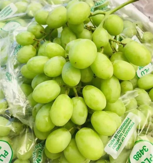 秘鲁顶级3J青提 | 进口水果 商品图1