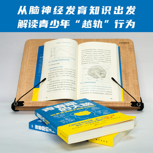 《青春期的大脑：10多岁的孩子是怎么想的？》抓住ZUI后一次大脑重塑期，帮孩子打造强健大脑。 商品图3