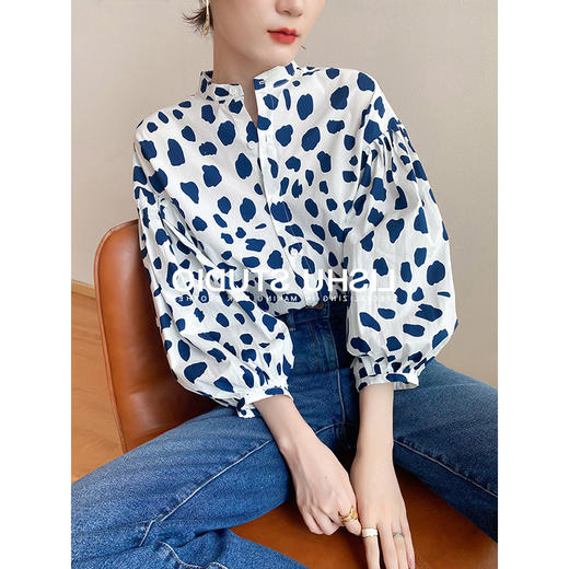 2023年早春复古不规则印花立领衬衫  女设计感灯笼袖时尚百搭上衣薄 商品图0