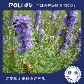 保加利亚进口牛膝草精油 护肤按摩精油原料批发颇黎进口牛膝草