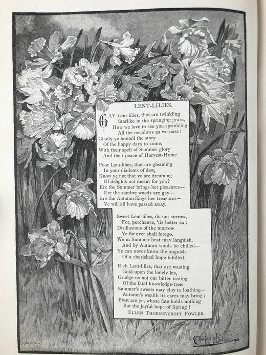 1891年 卡塞尔家庭杂志 数百幅插图 漆布精装16开 商品图4