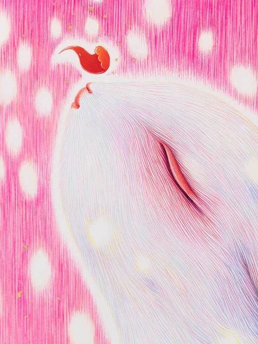 杨燕《梦》50版 商品图4