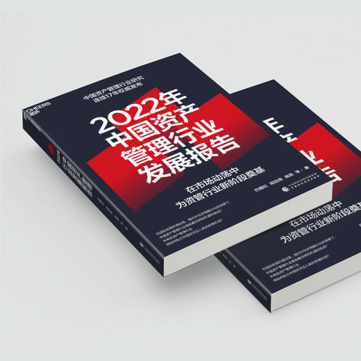 湛庐|2022年中国资产管理行业发展报告 商品图3