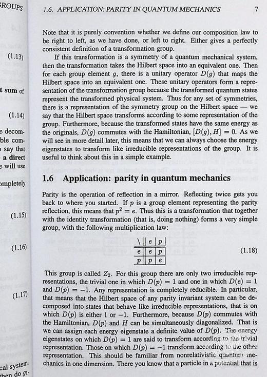【中商原版】Lie Algebras In Particle Physics 豆瓣阅读 英文原版 粒子物理学中的李代数 Howard Georgi 商品图8