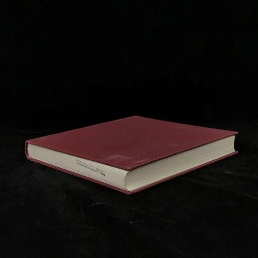 大都会：1890-1940年 数十幅插图 精装16开 商品图1