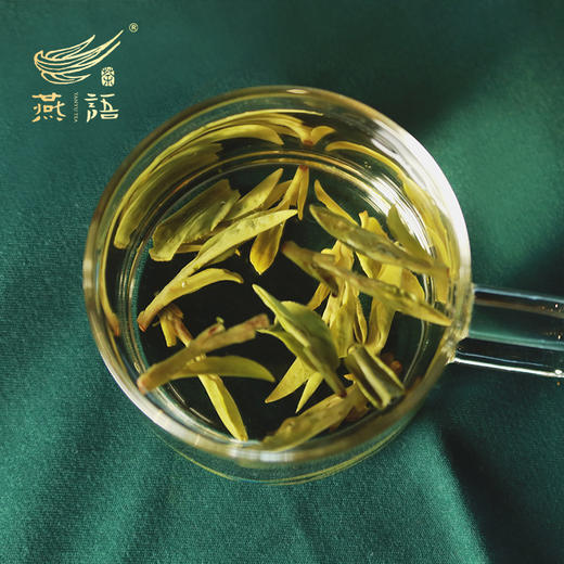 燕语狮峰龙井250g礼盒装 商品图2