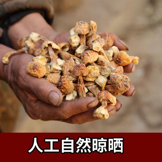 【姬松茸干货】云南香格里拉特产 500克 商品图1