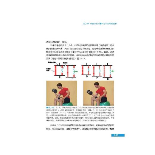 运动训练新思维——提高运动水平和预防运动损伤的秘诀 商品图2