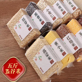 丁摩  五谷杂粮米组合装粗粮豆浆煮粥原料