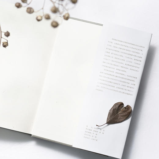 永不消逝的墨迹 美国曾格案始末 商品图3