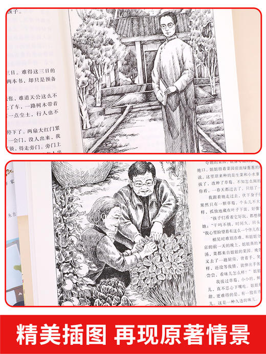 北京的春节 老舍著六年级下册语文课本作家作品系列 小学六年级必读的课外书老师推荐课外阅读书籍 适合六年级学生看的课外书经典 商品图3