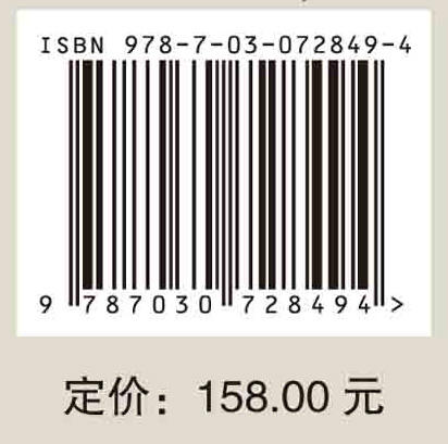 塔西陆相砂砾岩型铜铅锌矿床成矿特征与成矿模式 商品图2