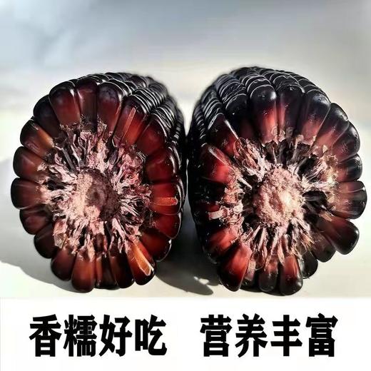 HEB东北黑色粘玉米10棒/箱 商品图2