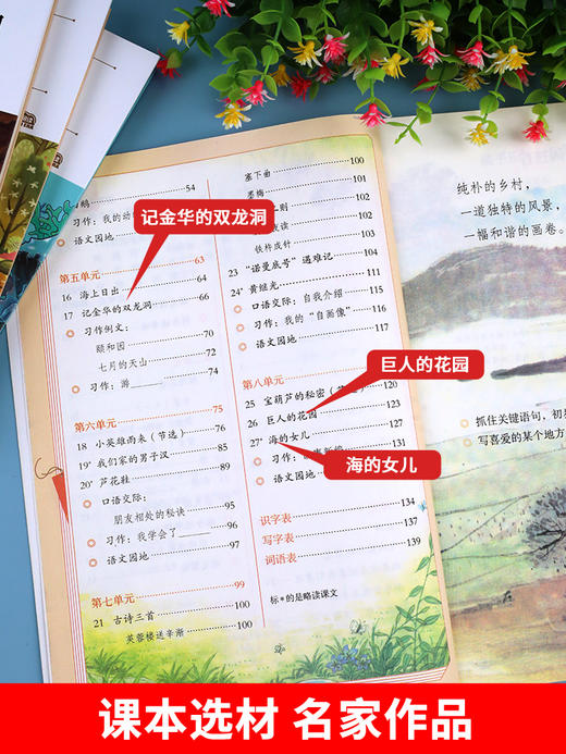 海的女儿巨人的花园 小学四年级阅读课外书必读下册语文课本作家作品系列老师推荐适合4年级的课外阅读书籍书目白桦记金华的双龙洞 商品图2
