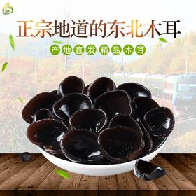 地道东北 柞木|秋木耳 肉厚口感脆滑 胶质丰富