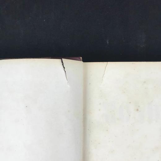 39*12.5cm！1899年 法国画报《世界画报》 数百幅版画插图 真皮精装8开 商品图2