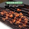 HEB东北黑色粘玉米10棒/箱 商品缩略图6