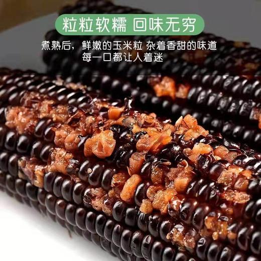 HEB东北黑色粘玉米10棒/箱 商品图6