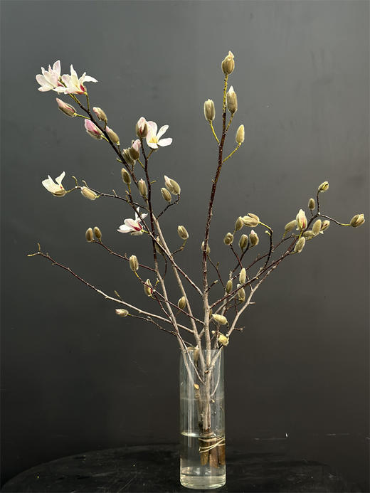 玉兰鲜切花一扎 商品图6